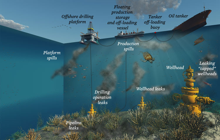 Photo: Infographic by Oceana.org