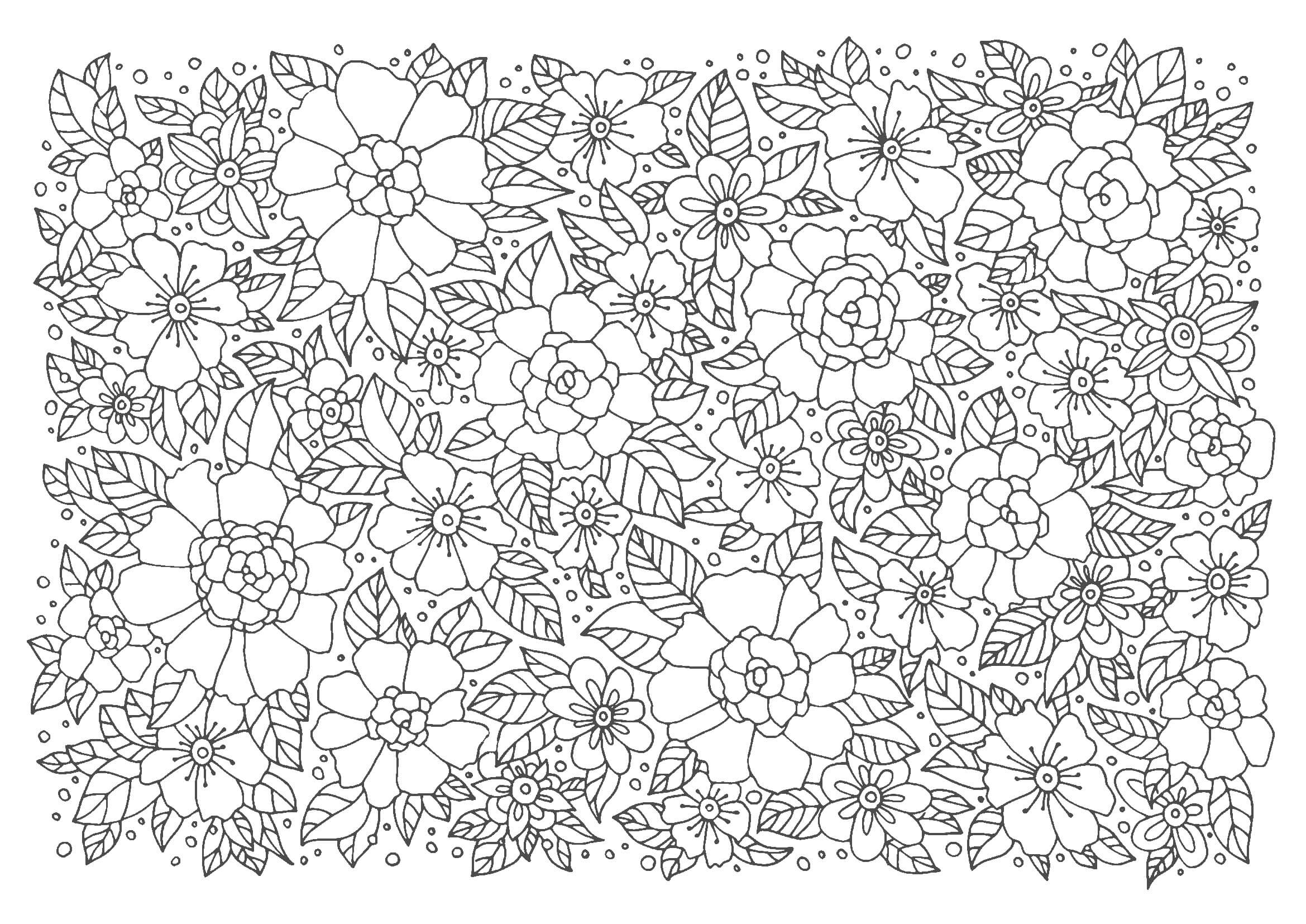 大人の塗り絵 画像 無料