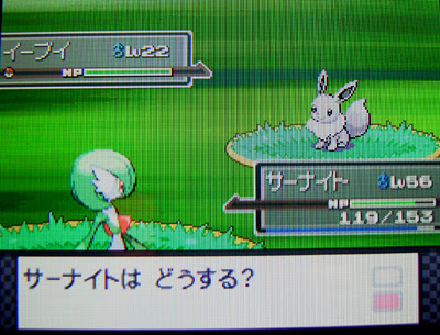 愛されし者 ポケモン プラチナ おすすめポケモン 100 イラスト