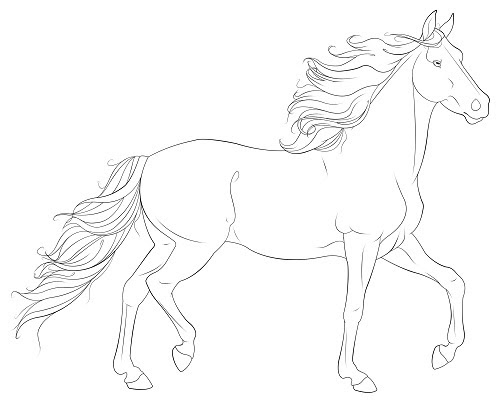 Free 12 horse coloring pages in ai the countless gene combinations of colours, potential, exterior and health ensure that every horse is unique. Coloring Pages Of Realistic Horses At Getdrawings Free Download