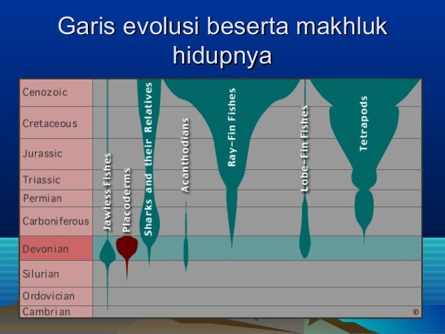 Contoh Hubungan Evolusi Dan Kemajuan - Oliv Asuss