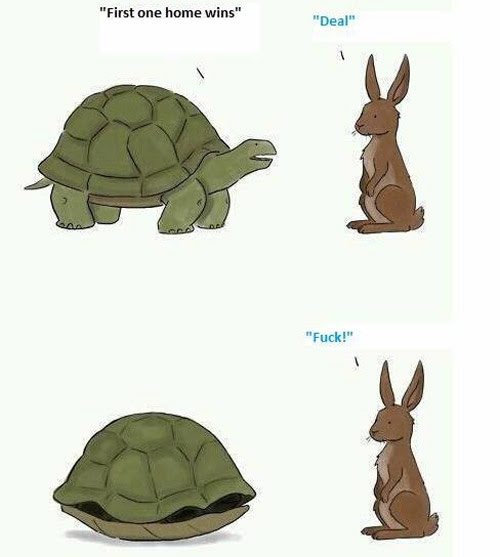 Tortoise vs. Hare !!!