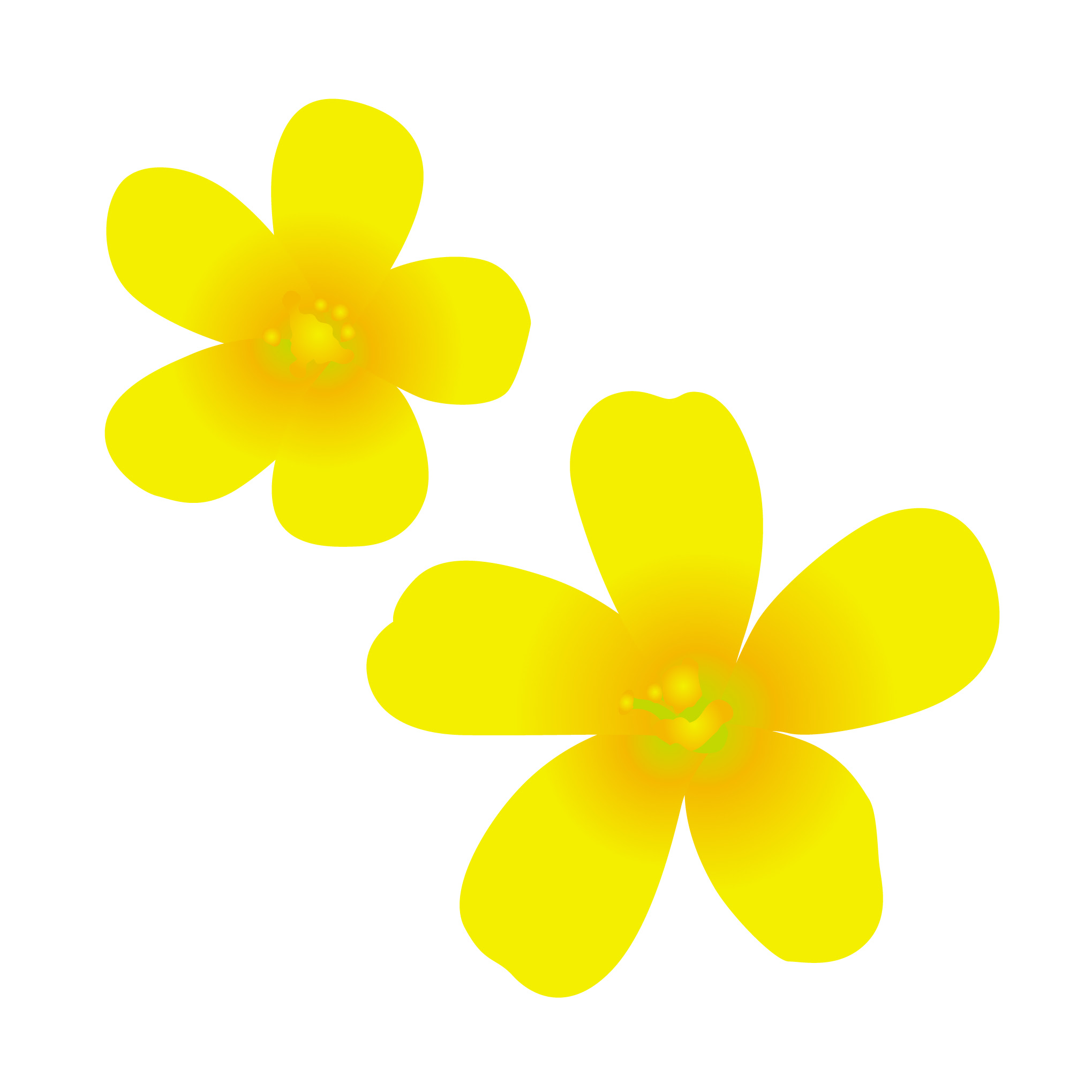 美しい花の画像 50 イラスト 無料 春の花