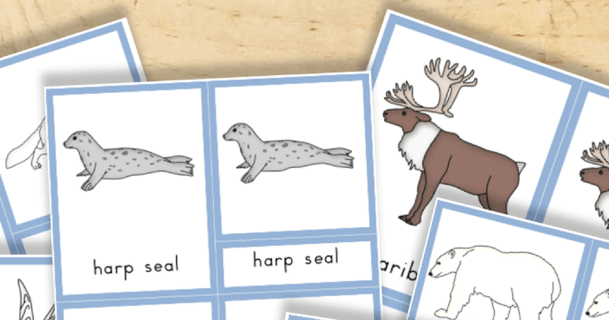 Anteater anteaters are mammals with very long snouts from south and central america. Free Printable Arctic Animals Trillium Montessori