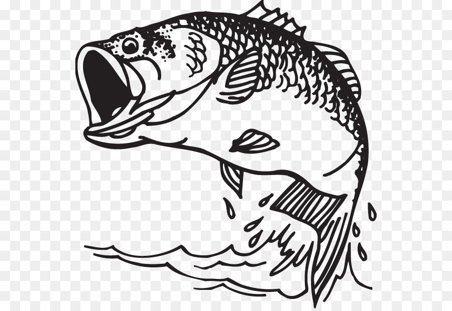 Download Fish Fish Jumping Out Of Water Silhouette
