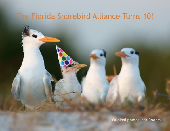 FSA Turns 10