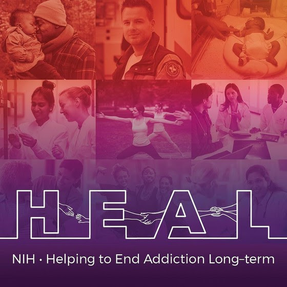 NIH Helping to End Addiction Long-term