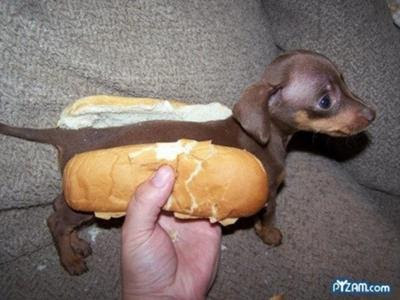ホット ドッグ 犬 Allis