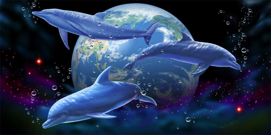最高のリアル かっこいい イルカ イラスト ディズニー画像のすべて
