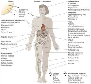 vitamin_D.jpg