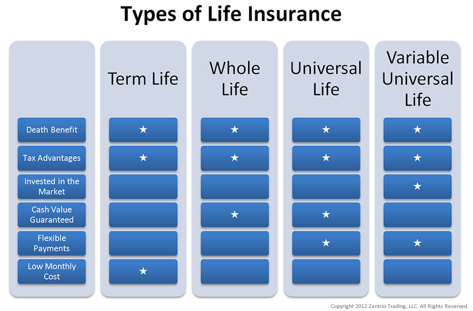 Which Of The Following Best Describes Term Life Insurance Weegy / Free