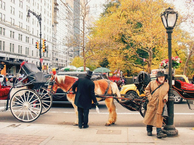 'Em có nghe mùa thu' ở New York