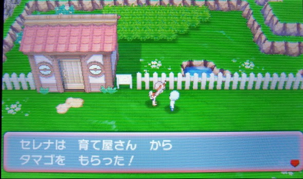 最良の選択 ポケモン アルファサファイア 育てや 100 で最高の画像