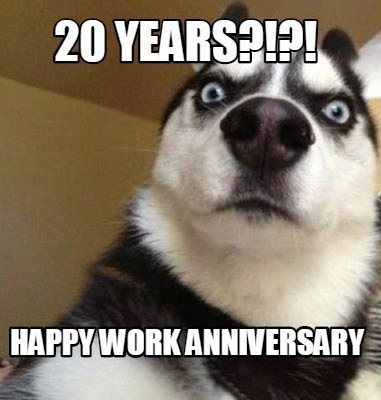 Happy work anniversary to you… for the next one you have to get back to it. Happy Work Anniversary Meme Cat Meme Wall
