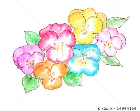 最高のコレクション 水彩画 花 イラスト 水彩画 花 イラスト フリー