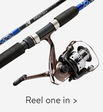 Reel one in