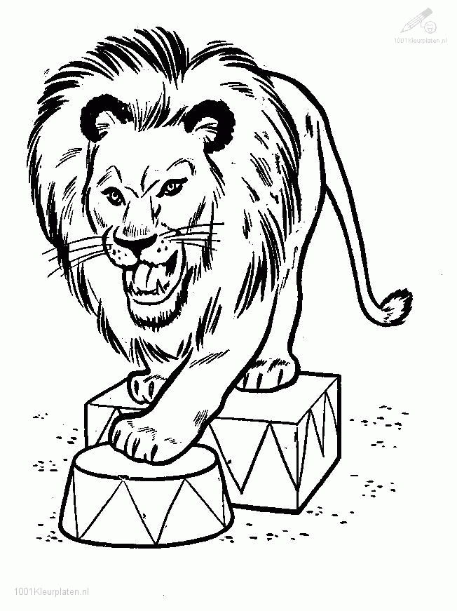 Download printable lion coloring pages to print for free. Free Lion Head Coloring Page Download Free Lion Head Coloring Page Png Images Free Cliparts On Clipart Library