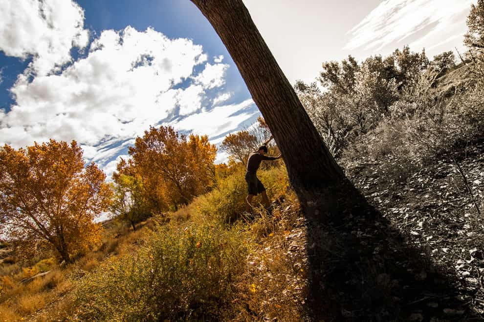 Seasonal Shift to autumn in New Mexico