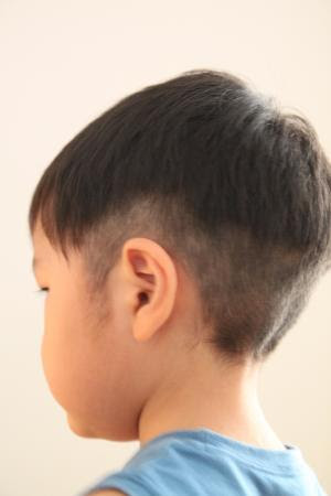 ほとんどのダウンロード タラ ちゃん 髪型 ヘアスタイルコレクション