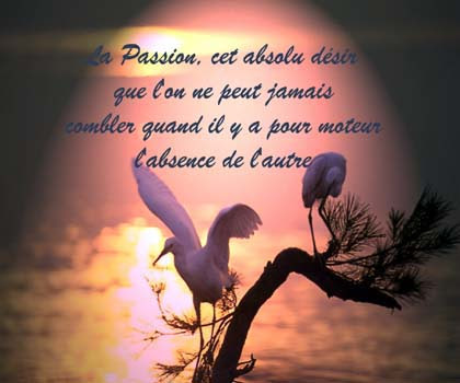 15 Citation D Amour Passionne Best Citations D Amour