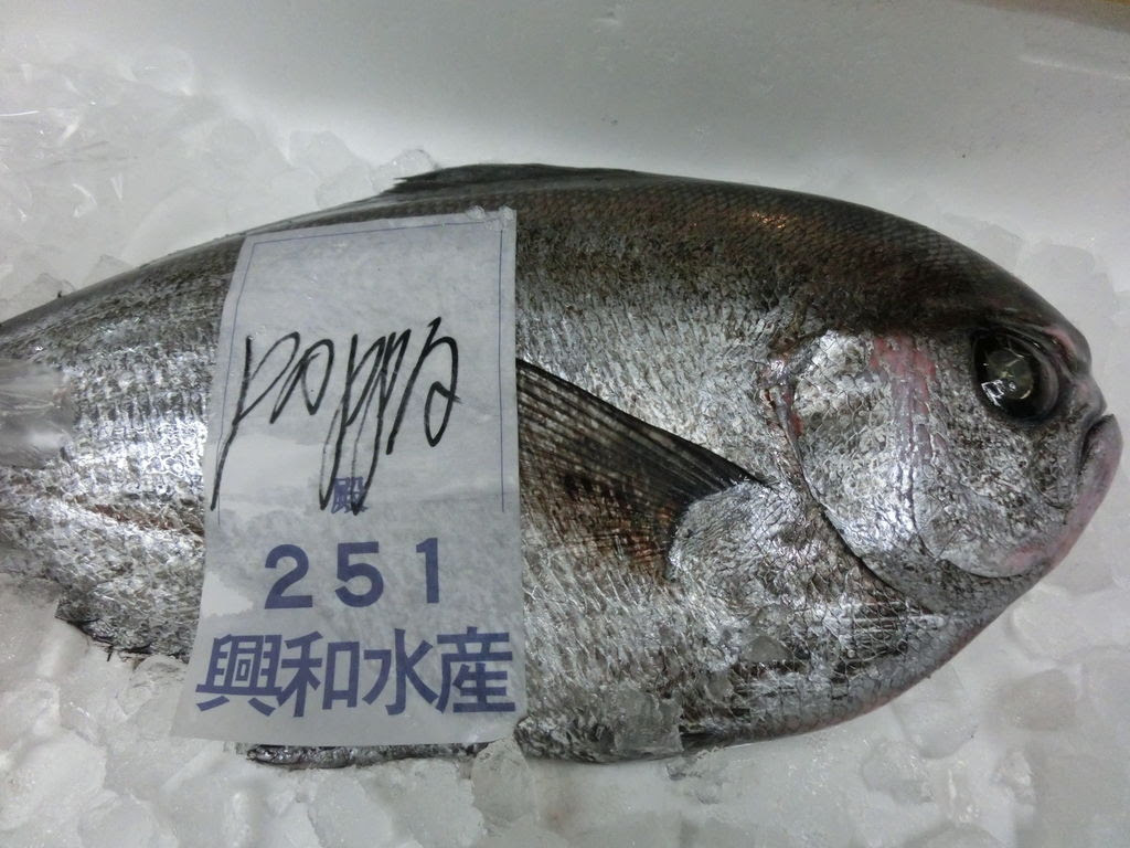 ぜいたく魚 エチオピア すべての魚の画像