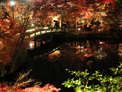 デスクトップ Pc 壁紙 4k の最高のコレクション すべての美しい花の画像