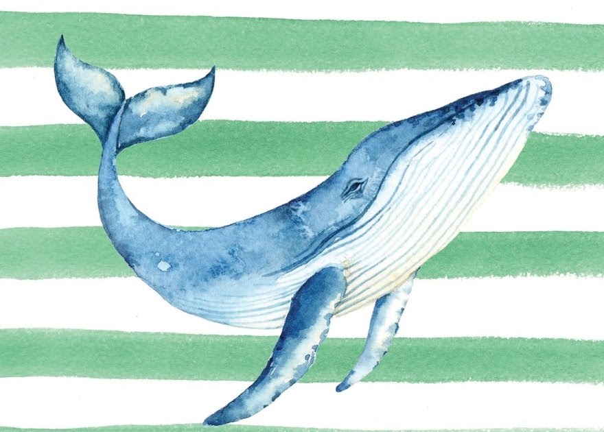 Wefalling: How To Draw Blue Whale Drawing
