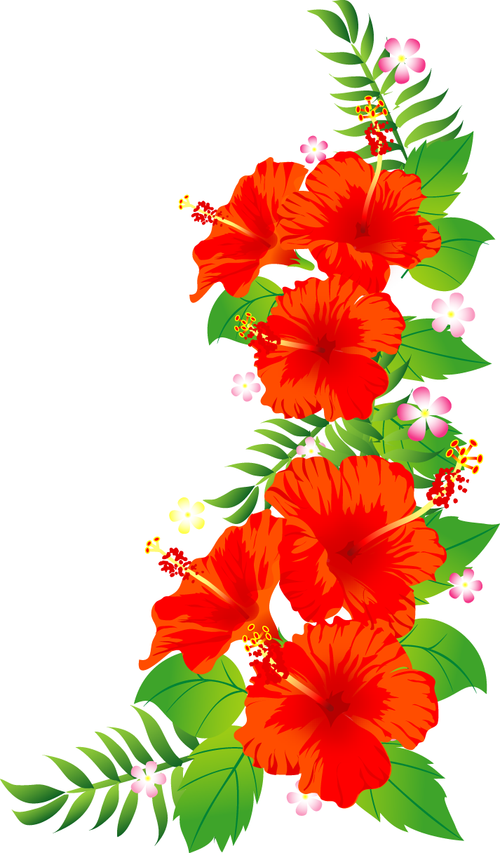 美しい花の画像 100 Epic Bestフラダンス ハワイ イラスト 無料