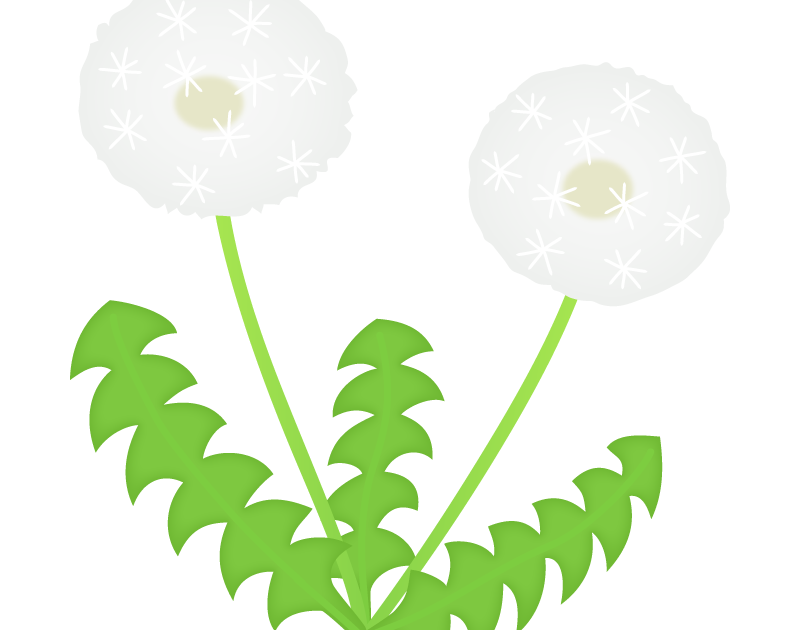 いろいろ たんぽぽ 綿毛 イラスト 簡単 たんぽぽ 綿毛 イラスト 簡単