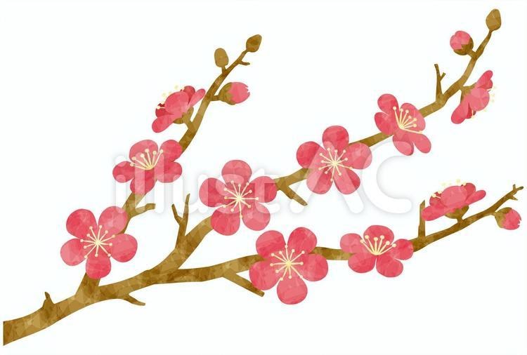 100以上 梅の花 イラスト 梅の花 いらすとや Saikonotransmuryogazo