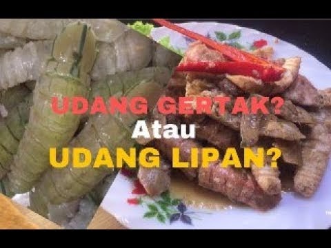 Tutorial Memasak Resepi Udang Lipan Goreng Cili Kering 