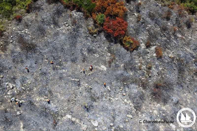 landcare-burned-site-monitoring-1