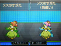 最良かつ最も包括的な ポケモン ブラック チュリネ 100 イラスト