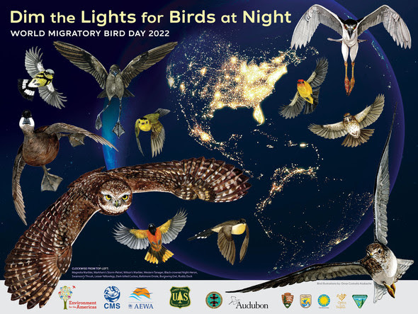 Light Pollution Poster