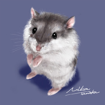 最高のイラスト画像 元のリアル ジャンガリアン ハムスター イラスト