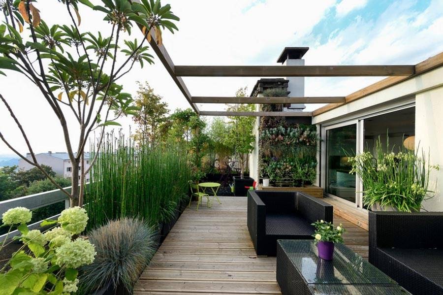 Plantas Balcon Colgantes : Hogar y cocina Plantas y flores ...