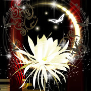 和風 彼岸花 イラスト 壁紙 Berkah Picturesgwy2