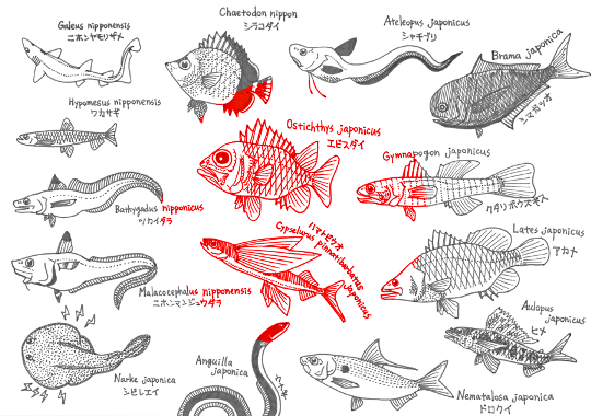 50 魚の 絵 書き方 トップ新しい画像