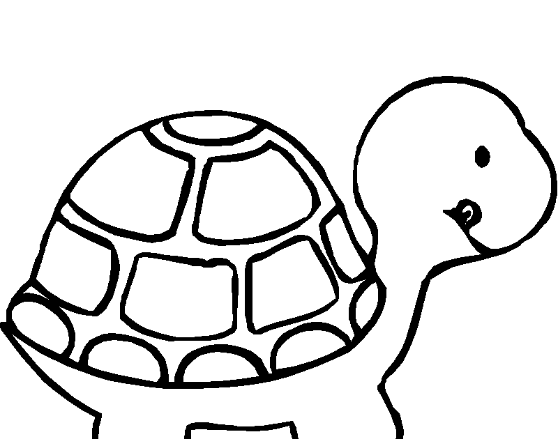 Cute Coloring Turtles