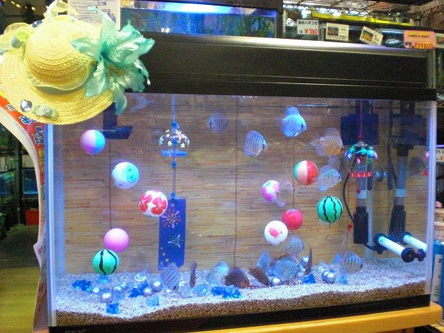 可愛い 金魚 水槽 レイアウト 最も興味深い壁紙についてのウェブサイト