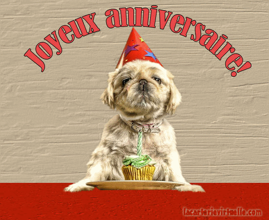 Ianpittman Anniversaire Chien Gif