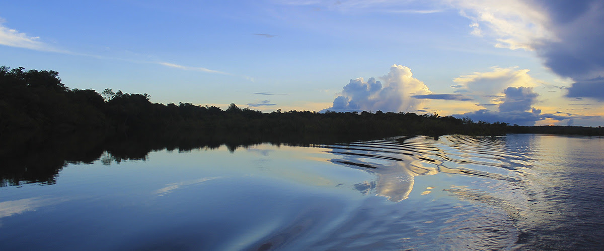 amazonia_foto_vaquero_francis_foto_flickr_cc.jpg