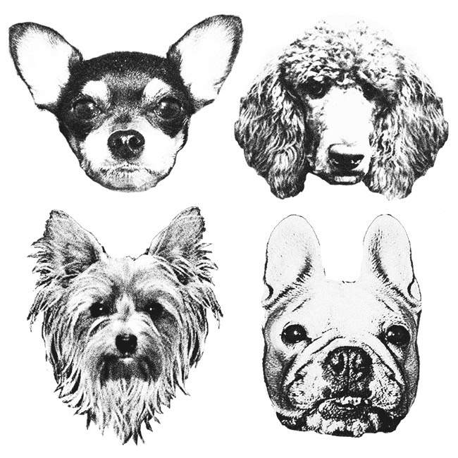 最も選択された 犬 イラスト ゆるい 白黒 犬 イラスト ゆるい 白黒 honghu