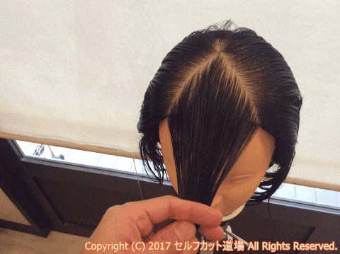 現代の髪型 最高のウルフ 隠れ ツー ブロック 女子 ロング