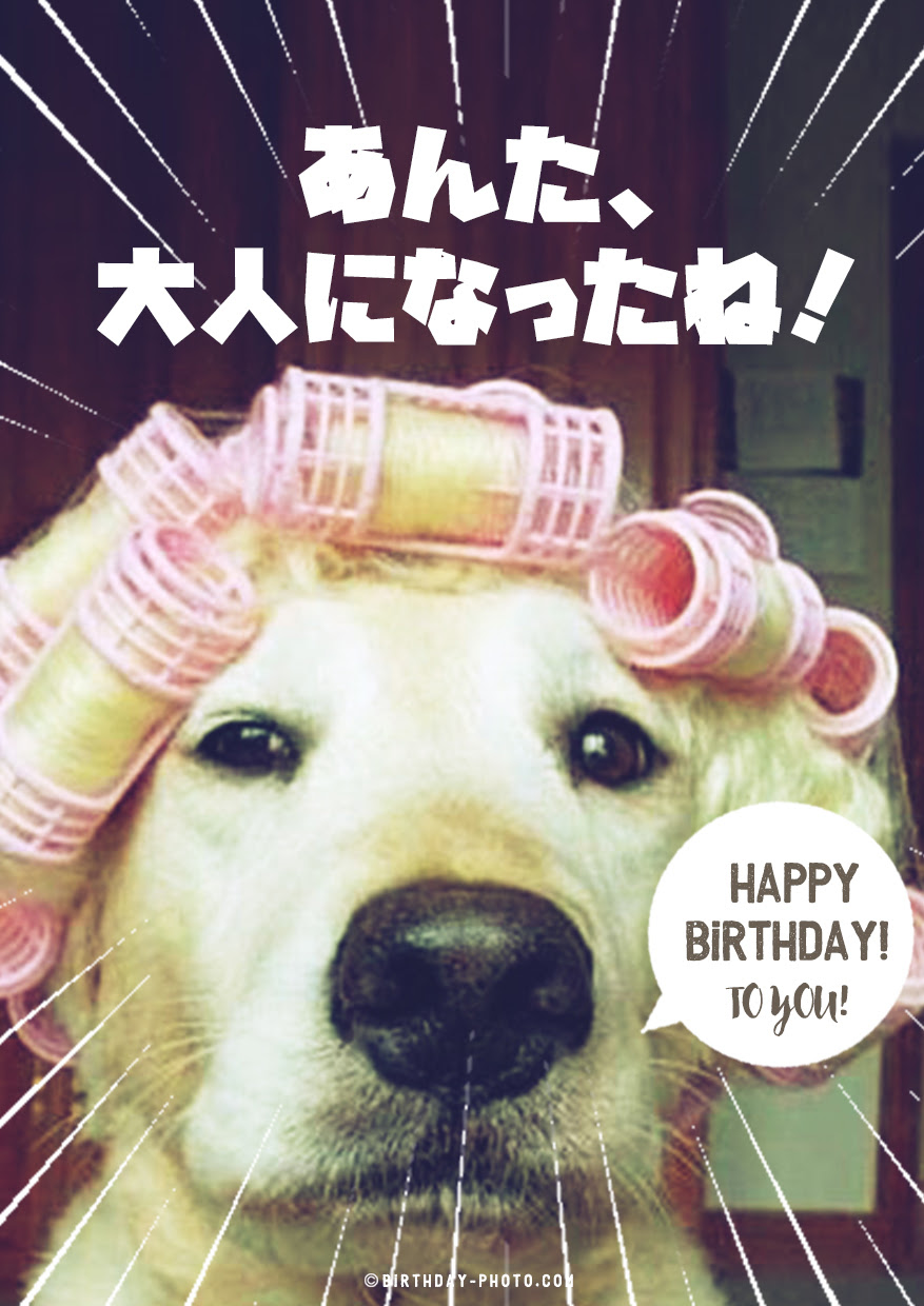 エレガント面白い 誕生 日 画像 最高の動物画像