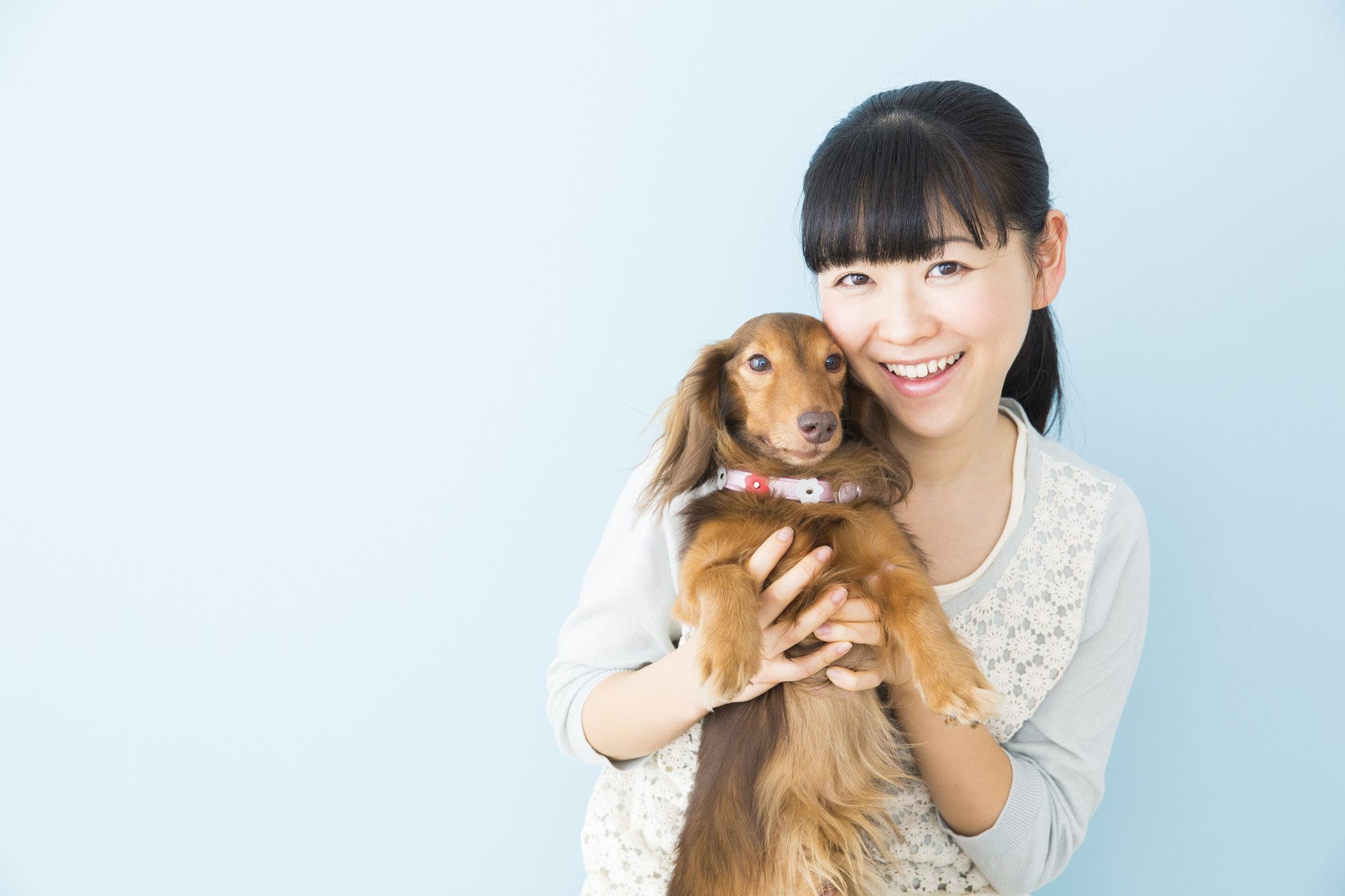 美しい 室内 犬 ケージ 飼い 画像ブログ