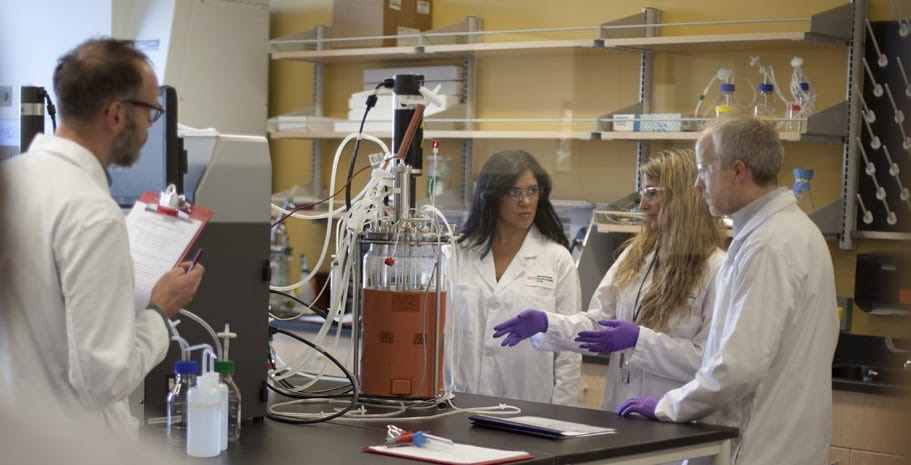 It covers different types of animal cell cultures, considerations for cell culture, and cell culture protocols. Upstream Processing Of Animal Cell Culture Products Wpi Biomanufacturing Education Training Center