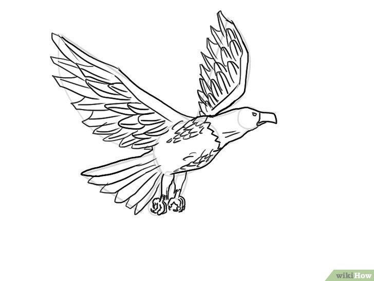 Gambar Sketsa Burung Untuk Mozaik Contoh Sketsa Gambar
