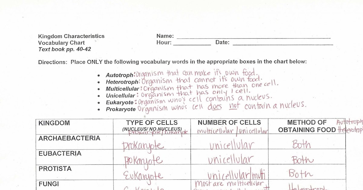 Dna Mutation Simulation Answer Key - 32 Gene Expression Transcription Worksheet Answers ...