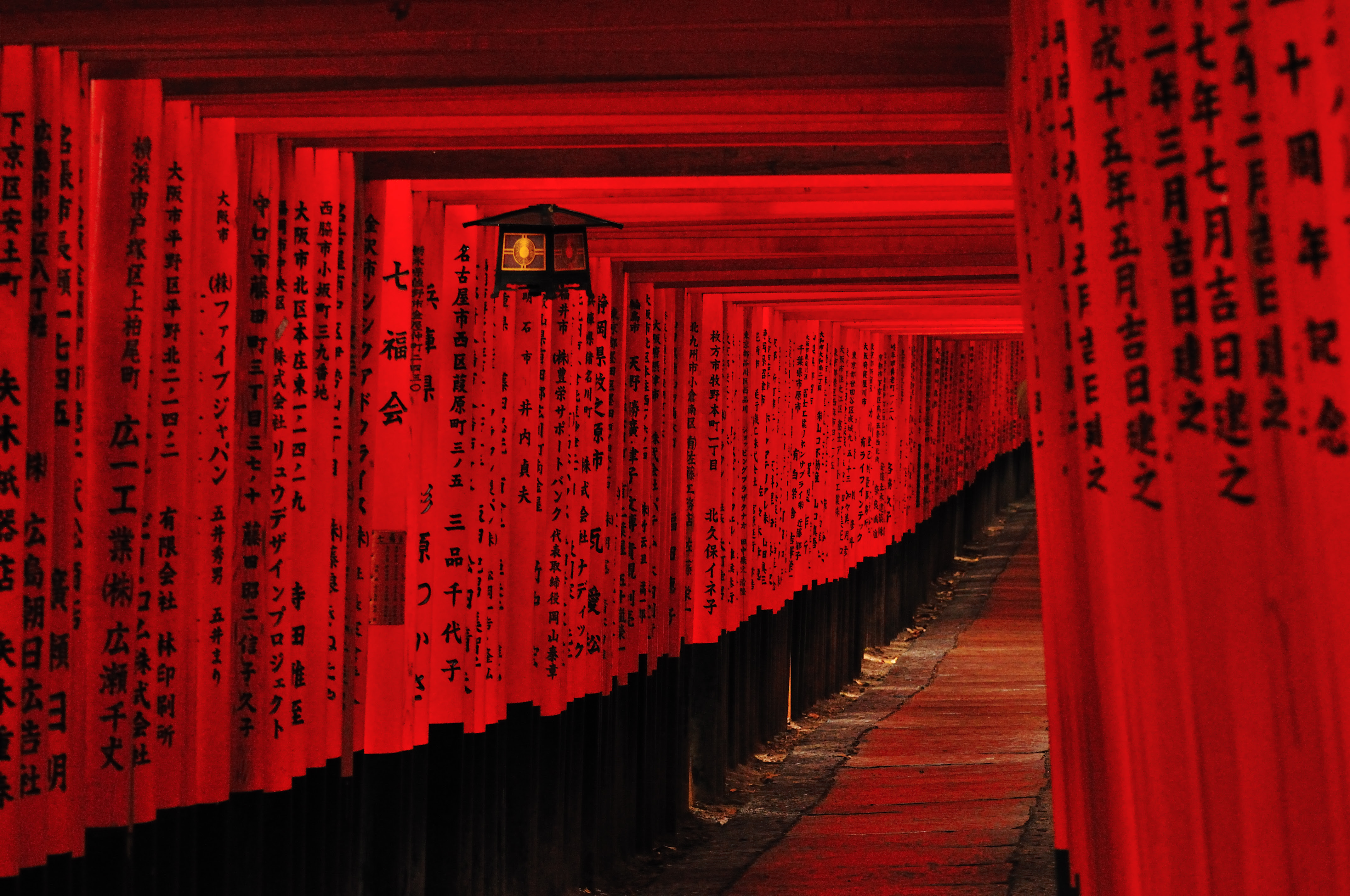 Hd限定神社 壁紙 高画質 最高の花の画像